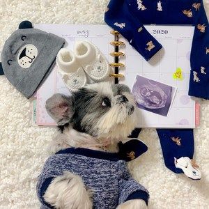 Meet your Posher, Jojo